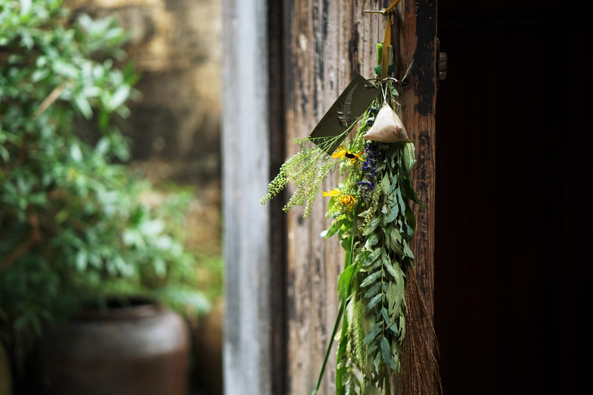 端午節(jié)采摘艾草、掛艾草習(xí)俗